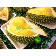Frozen Durian from Vietnam | Export Supply