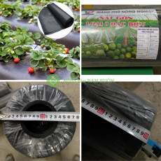 Màng Phủ Sài Gòn 2m x 400m, Dày 25 Mic - Bạt Phủ Cao Cấp, Giữ Ẩm, Chống Cỏ, Bảo Vệ Cây Trồng