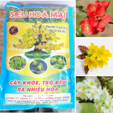 SIÊU HOA MAI PHÂN BÓN CHUYÊN DÙNG CHO CÂY HOA MAI cây khỏe, trổ đều. ra nhiều hoa khối lượng tịnh 700g