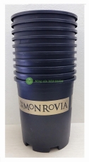 10 Chậu MONROVIA CH Garden 3Gal - Màu Đen