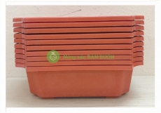  10 Ang Chữ Nhật Trồng Hoa Cây Cảnh 240x170x70mm