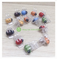 50 Kẹp Ong (Kẹp Bọ Dừa) Siêu Tốt Kẹp Lan Hồ Điệp!