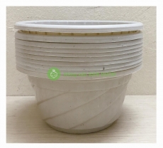 10 Chậu Nhựa Trồng Cây Hoa, Cây Cảnh C180 CN - chậu nhựa Mini C180 CN 