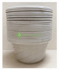 20 Chậu Nhựa Trồng Cây Hoa, Cây Cảnh C180 CN - chậu nhựa Mini C180 CN 