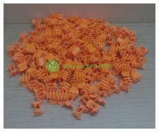 100 Kẹp Bướm đại màu CAM - Kẹp Bướm cỡ Đại màu Cam - Hàng Siêu Tốt dùng để Kẹp Lan Hồ Điệp!
