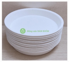10 Khay (Đĩa) Lót Đế Chậu D200 Binh Thuan Plastics - Màu Trắng