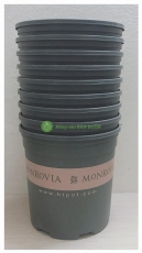 10 Chậu Nhựa MONROVIA 1,5Gal CN màu XANH, KT: 20x20 (Rộng X Cao) cm