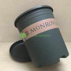 10 Bộ Chậu Nhựa Trồng Hoa Cây Cảnh MONROVIA 3Gal CN (Chậu + Đĩa)