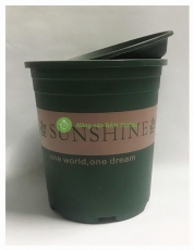 10 Bộ Chậu Nhựa SUNSHINE 1Gal CN (Chậu + Đĩa) Kích Thước 16x17 (Rộng X Cao) cm