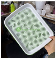 Khay trồng rau mầm thủy canh tiện lợi tại nhà HT-26 size 330x250x40mm - BÁN SỈ, BÁN BUÔN, BÁN LẺ,