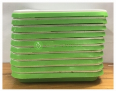 10 Khay trồng rau mầm thủy canh tiện lợi tại nhà HT-26 size 330x250x40mm