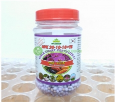 PHÂN THÔNG MINH HÀN QUỐC NPK 20-10-10 + TE KOREAN SMART FERTILIZER-F 1, Lọ 150g