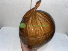 BÌNH GIỮ ẤM TRÀ TRÁI DỪA – GIỎ GIỮ NHIỆT LÀM TỪ GỖ DỪA NGUYÊN TRÁI- MSP 275