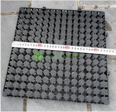 Vỉ Nhựa Thoát Nước Chống Ngập 34x34x3cm – Bền Chắc, Dễ Lắp Đặt, Dùng Cho Sân Vườn