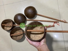 GÁO DỪA MÚC NƯỚC – LÀM BÁNH – TƯỚI CÂY KIỂNG – TẮM PHẬT – SIZE LỚN * MÃ SP: 300