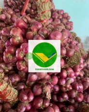 Củ hành khô vikafoods