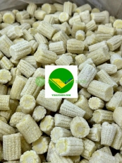 Bắp non đông lạnh vikafoods