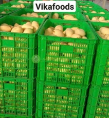Xoài tươi vikafoods