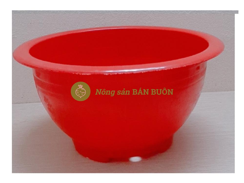 1 Chậu Nhựa Trồng Hoa, Cây Cảnh Hoa Việt TT280-150